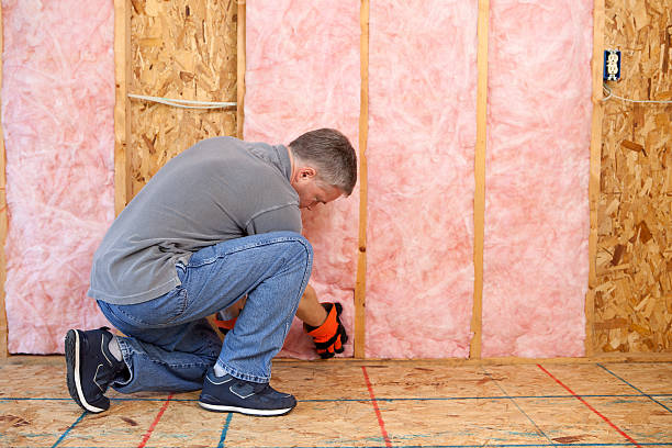 Professional Insulation Contractor in Aiea, HI
