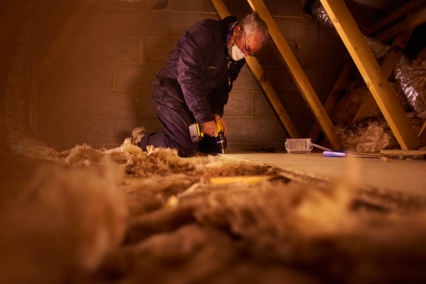 Best Spray Foam Insulation in Aiea, HI