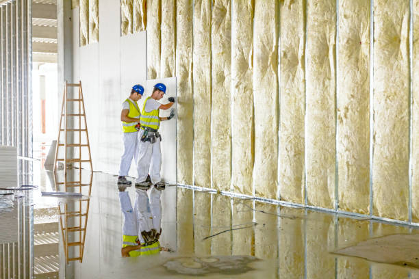 Best Geographic-Specific Insulation Services in Aiea, HI